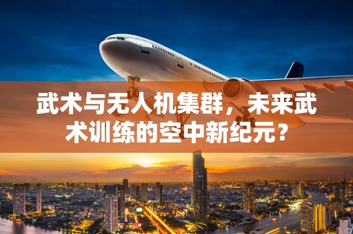 武术与无人机集群，未来武术训练的空中新纪元？