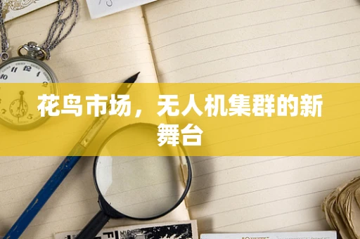 花鸟市场，无人机集群的新舞台