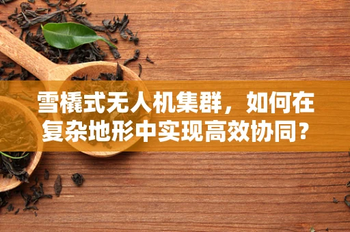 雪橇式无人机集群，如何在复杂地形中实现高效协同？