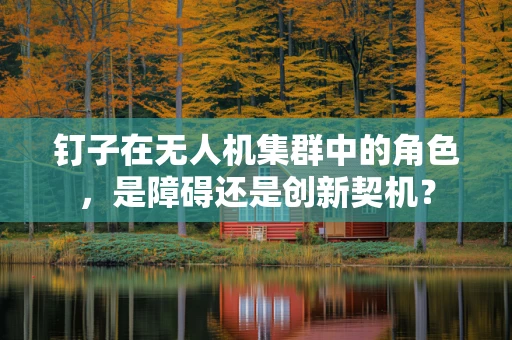 钉子在无人机集群中的角色，是障碍还是创新契机？