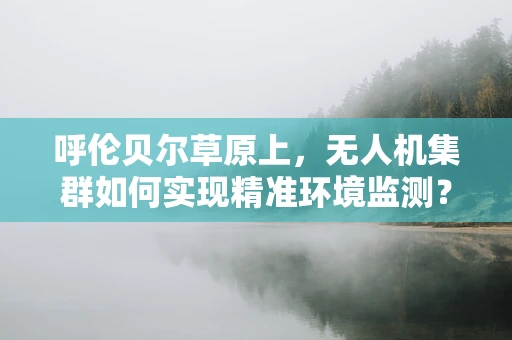 呼伦贝尔草原上，无人机集群如何实现精准环境监测？