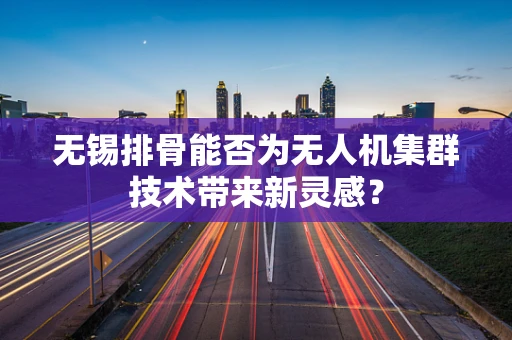 无锡排骨能否为无人机集群技术带来新灵感？