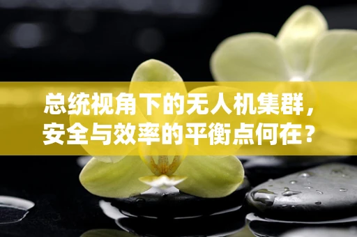 总统视角下的无人机集群，安全与效率的平衡点何在？