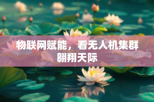 物联网赋能，看无人机集群翱翔天际