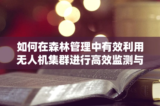 如何在森林管理中有效利用无人机集群进行高效监测与救援？