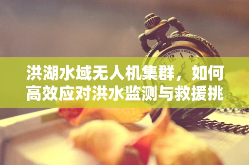 洪湖水域无人机集群，如何高效应对洪水监测与救援挑战？