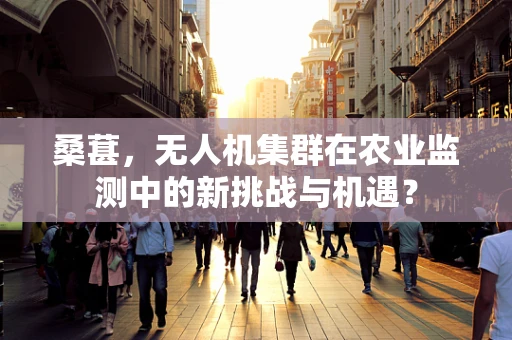 桑葚，无人机集群在农业监测中的新挑战与机遇？