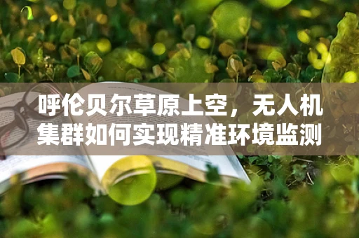 呼伦贝尔草原上空，无人机集群如何实现精准环境监测与应急响应？