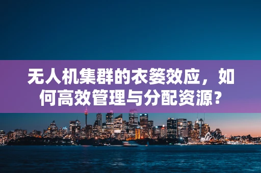 无人机集群的衣篓效应，如何高效管理与分配资源？