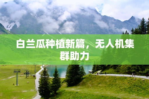 白兰瓜种植新篇，无人机集群助力