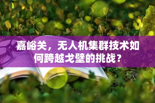 嘉峪关，无人机集群技术如何跨越戈壁的挑战？