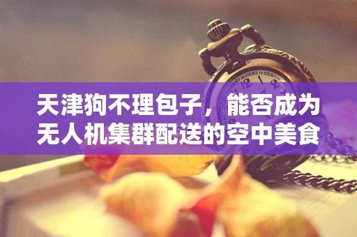 天津狗不理包子，能否成为无人机集群配送的空中美食？