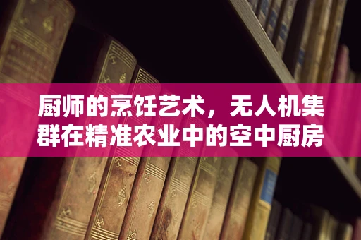 厨师的烹饪艺术，无人机集群在精准农业中的空中厨房设想？