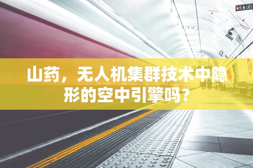 山药，无人机集群技术中隐形的空中引擎吗？