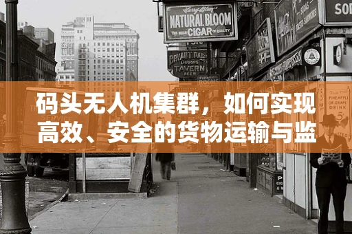 码头无人机集群，如何实现高效、安全的货物运输与监控？