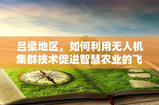 吕梁地区，如何利用无人机集群技术促进智慧农业的飞跃？