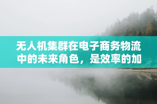 无人机集群在电子商务物流中的未来角色，是效率的加速器还是隐私的挑战者？