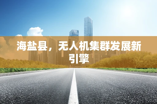 海盐县，无人机集群发展新引擎