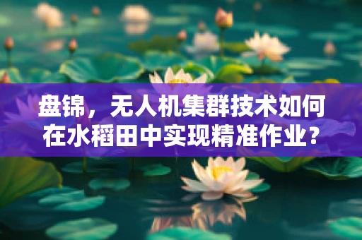 盘锦，无人机集群技术如何在水稻田中实现精准作业？