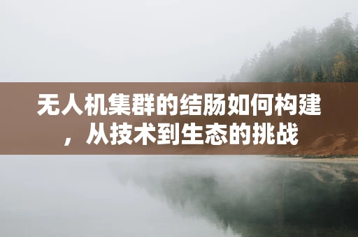 无人机集群的结肠如何构建，从技术到生态的挑战