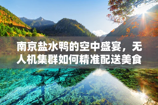 南京盐水鸭的空中盛宴，无人机集群如何精准配送美食？