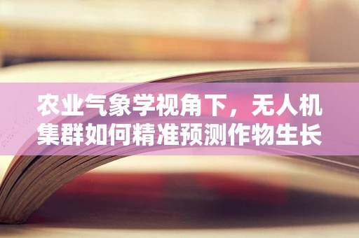 农业气象学视角下，无人机集群如何精准预测作物生长环境？