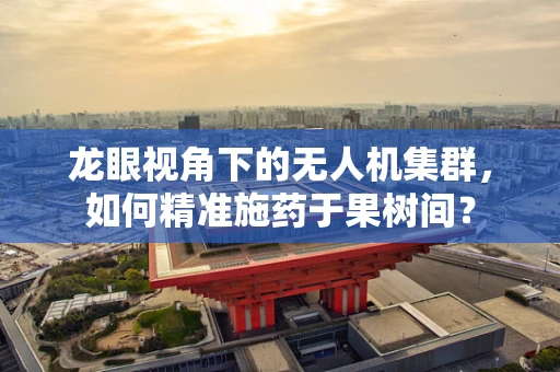 龙眼视角下的无人机集群，如何精准施药于果树间？