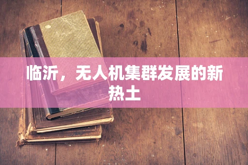 临沂，无人机集群发展的新热土
