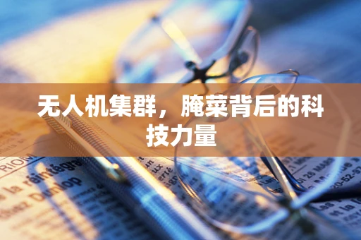 无人机集群，腌菜背后的科技力量