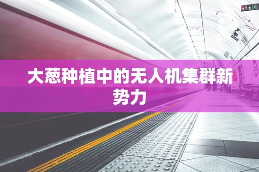 大葱种植中的无人机集群新势力