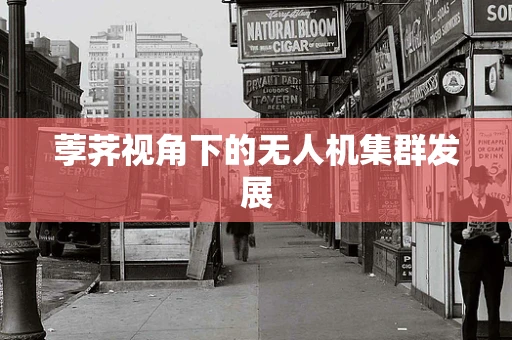荸荠视角下的无人机集群发展