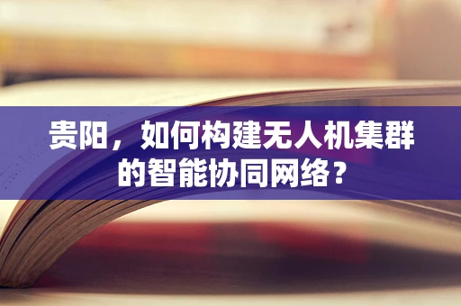 贵阳，如何构建无人机集群的智能协同网络？