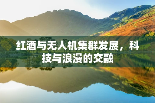 红酒与无人机集群发展，科技与浪漫的交融
