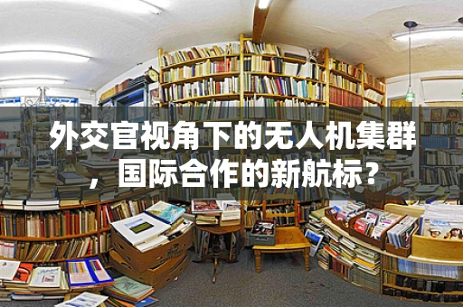 外交官视角下的无人机集群，国际合作的新航标？