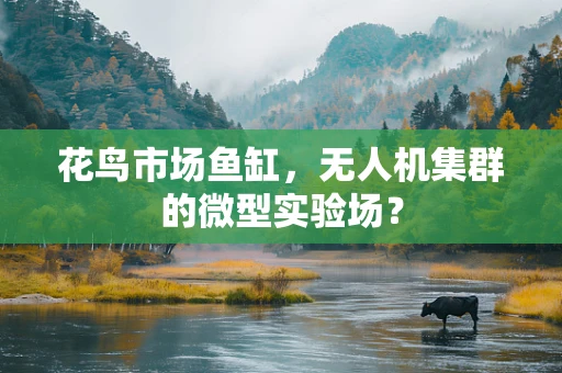 花鸟市场鱼缸，无人机集群的微型实验场？
