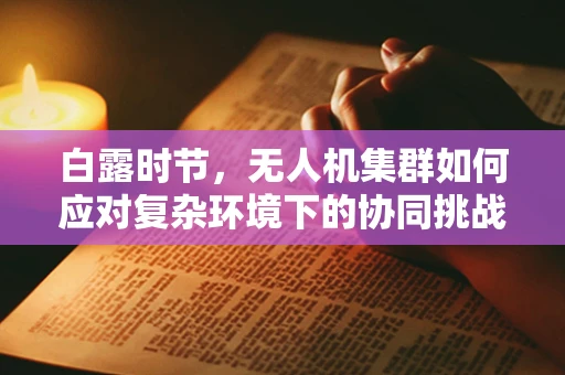 白露时节，无人机集群如何应对复杂环境下的协同挑战？