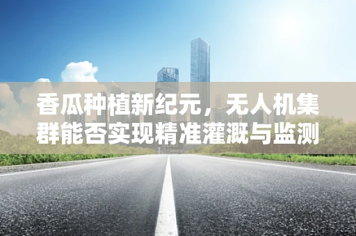 香瓜种植新纪元，无人机集群能否实现精准灌溉与监测？