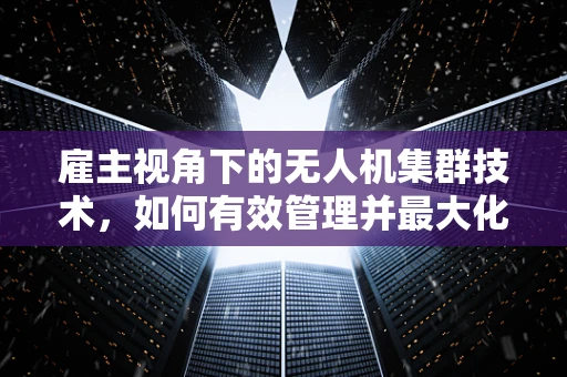 雇主视角下的无人机集群技术，如何有效管理并最大化利用资源？
