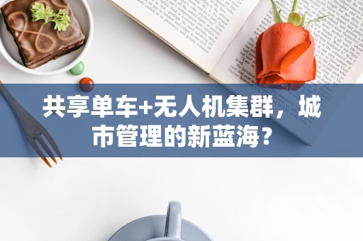 共享单车+无人机集群，城市管理的新蓝海？