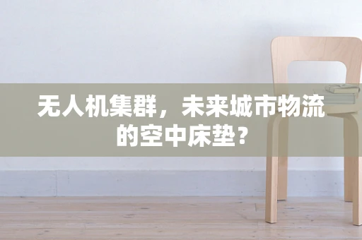 无人机集群，未来城市物流的空中床垫？