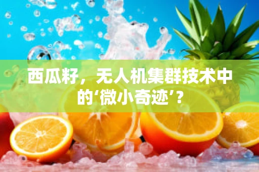 西瓜籽，无人机集群技术中的‘微小奇迹’？