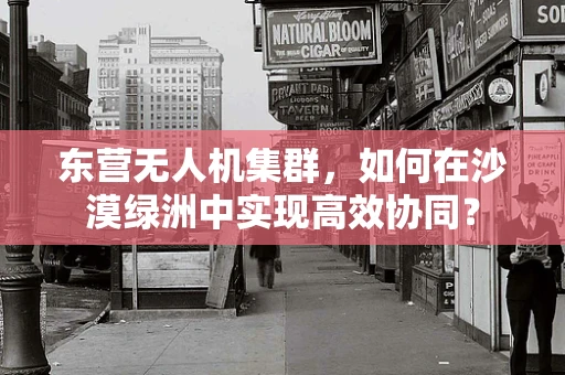 东营无人机集群，如何在沙漠绿洲中实现高效协同？