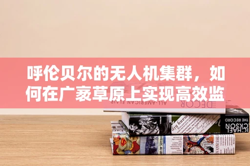 呼伦贝尔的无人机集群，如何在广袤草原上实现高效监控与救援？