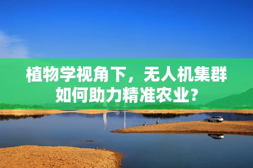 植物学视角下，无人机集群如何助力精准农业？