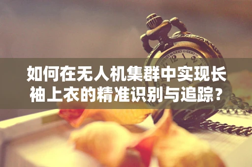 如何在无人机集群中实现长袖上衣的精准识别与追踪？