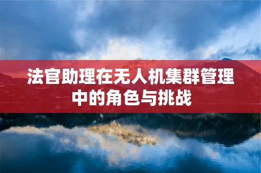 法官助理在无人机集群管理中的角色与挑战