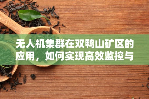 无人机集群在双鸭山矿区的应用，如何实现高效监控与安全作业？