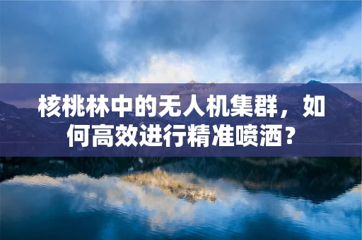 核桃林中的无人机集群，如何高效进行精准喷洒？