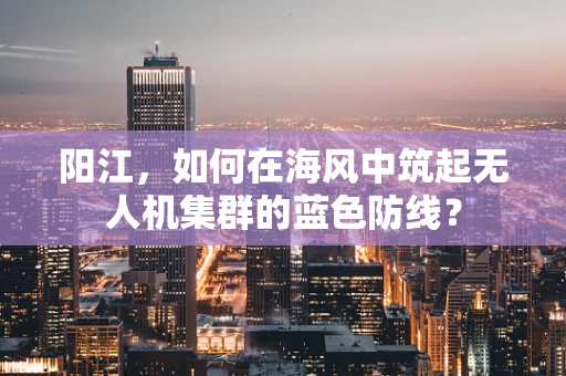 阳江，如何在海风中筑起无人机集群的蓝色防线？