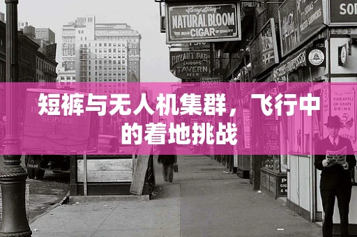 短裤与无人机集群，飞行中的着地挑战
